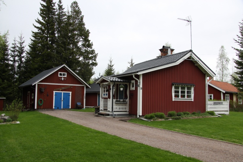 Fil:Knallasbenning 7 8.jpg