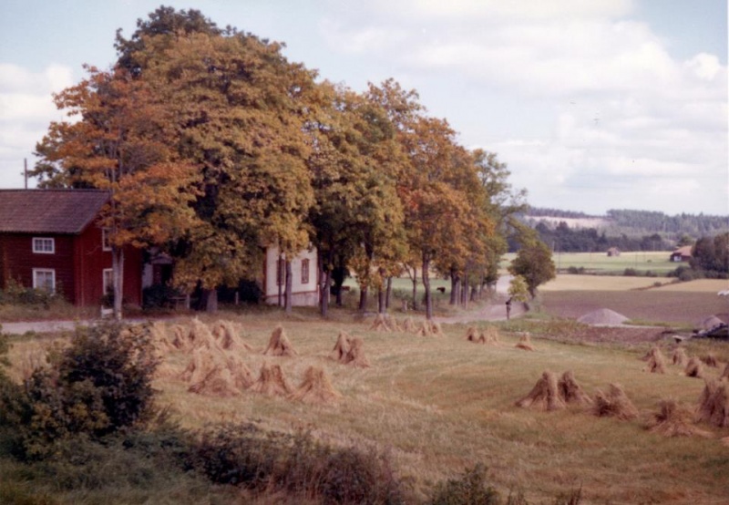 Fil:Risbyn1.jpg